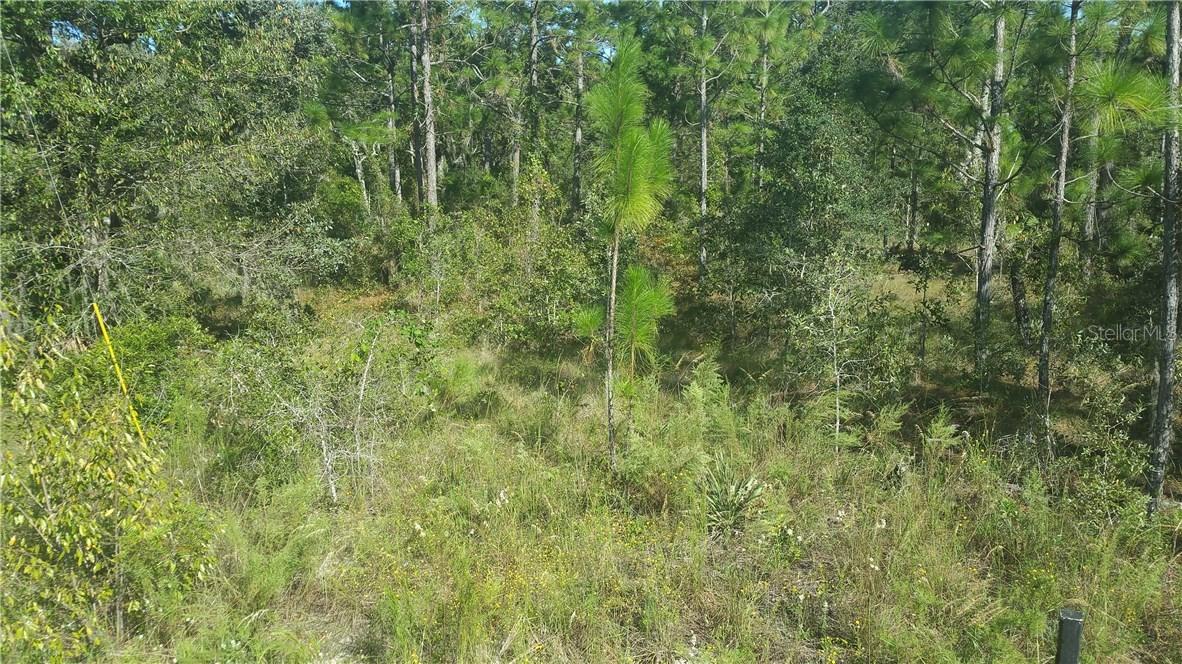 14044 Cormorant Rd., Weeki Wachee, FL 34614