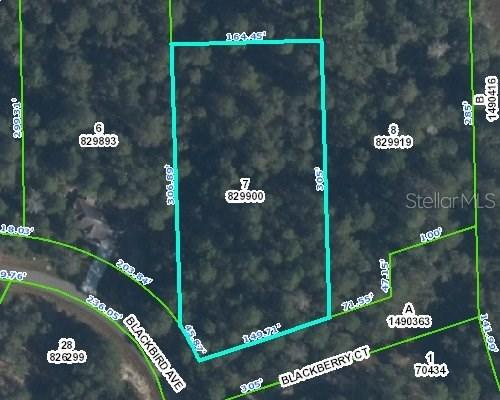 Blackbird Ave., Weeki Wachee, FL 34613