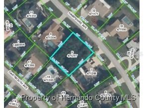 277 Hampshire Ave., Spring Hill, FL 34606