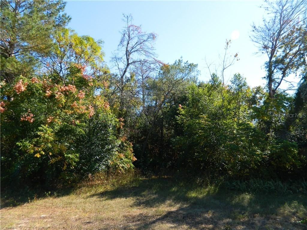 Dorset Rd., Spring Hill, FL 34608