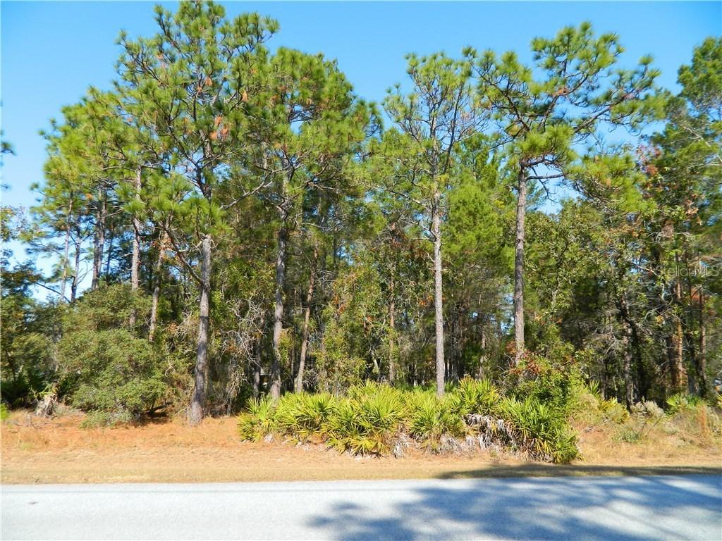 11237 Flock Ave., Weeki Wachee, FL 34613
