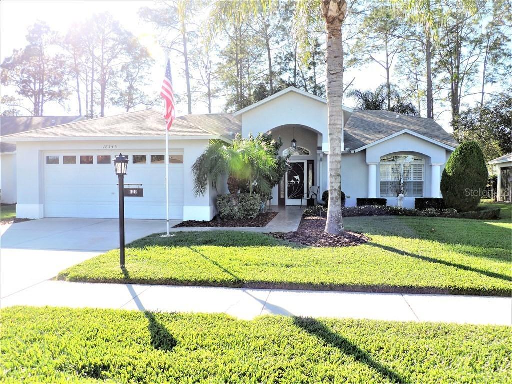 18545 Hidden Pines Way, Hudson, FL 34667