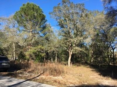 15341 Lancer Rd., Spring Hill, FL 34610