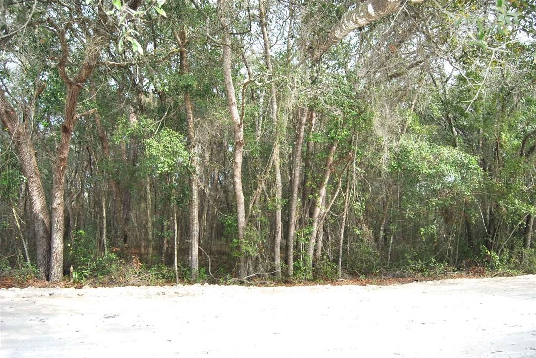 Shea Dr, Spring Hill, FL 34610