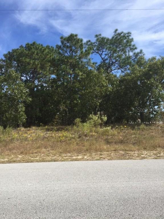 5116 Quintilis St., Spring Hill, FL 34608