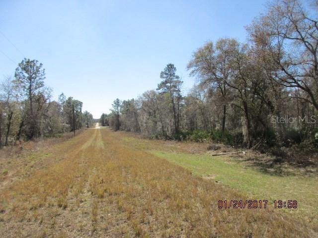 13695 Downy Woodpecker Rd., Weeki Wachee, FL 34614