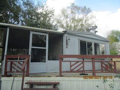 20985 Little Magens Loop, Lutz, FL 33558