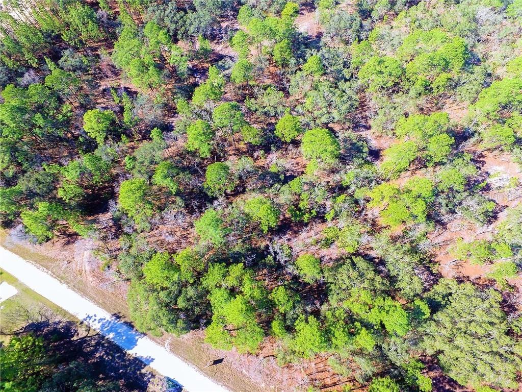 Magnolia Warbler Rd., Weeki Wachee, FL 34614