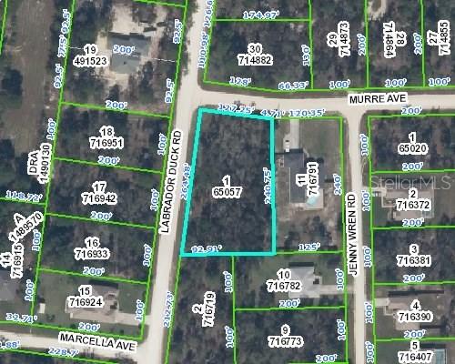11456 Murre Ave., Weeki Wachee, FL 34614