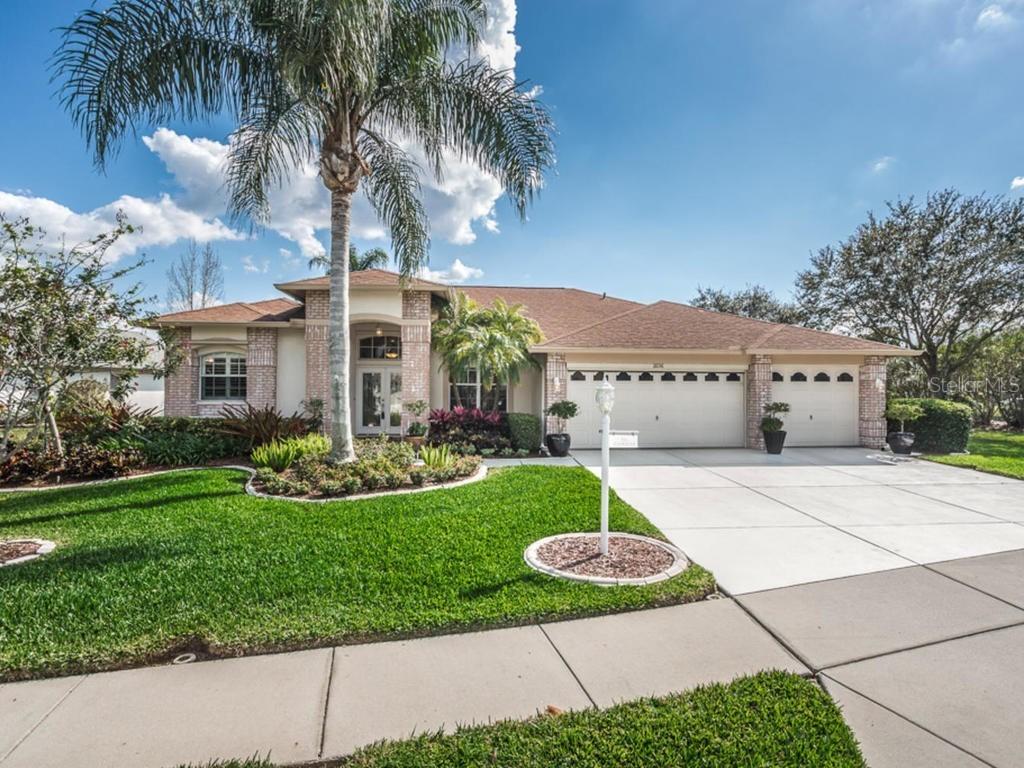 11036 Wedgemere Dr., Trinity, FL 34655