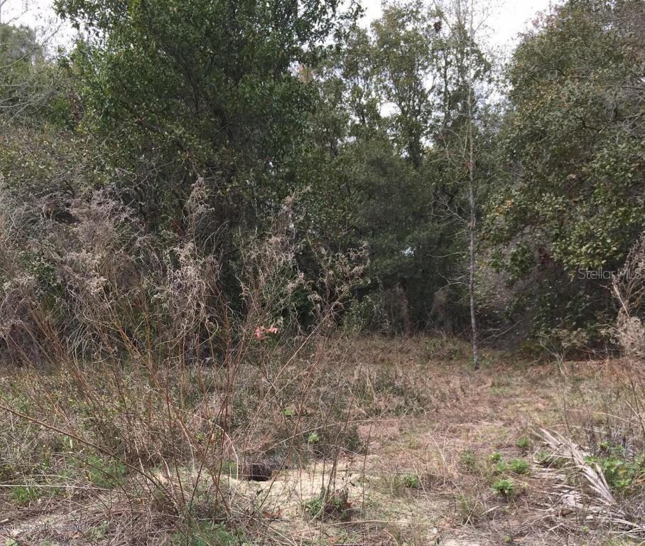 2135 Fentress Ct., Spring Hill, FL 34609