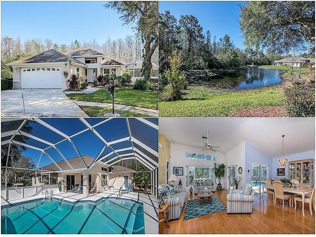 1002 Daleside Ln., New Port Richey, FL 34655