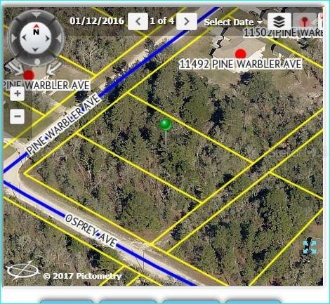 11472 Pine Warbler Ave., Weeki Wachee, FL 34614