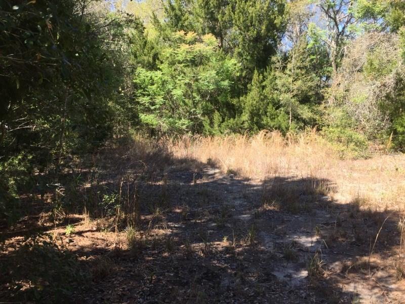 9463 Orchard Way, Spring Hill, FL 34608