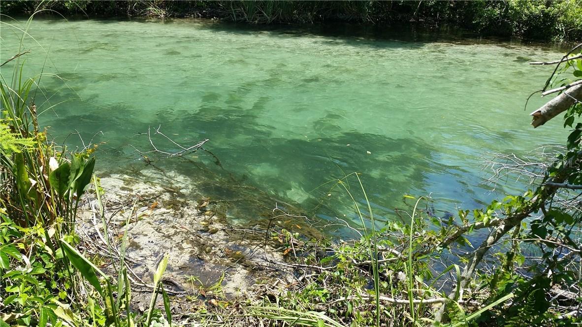 6134 Waters Way, Weeki Wachee, FL 34607