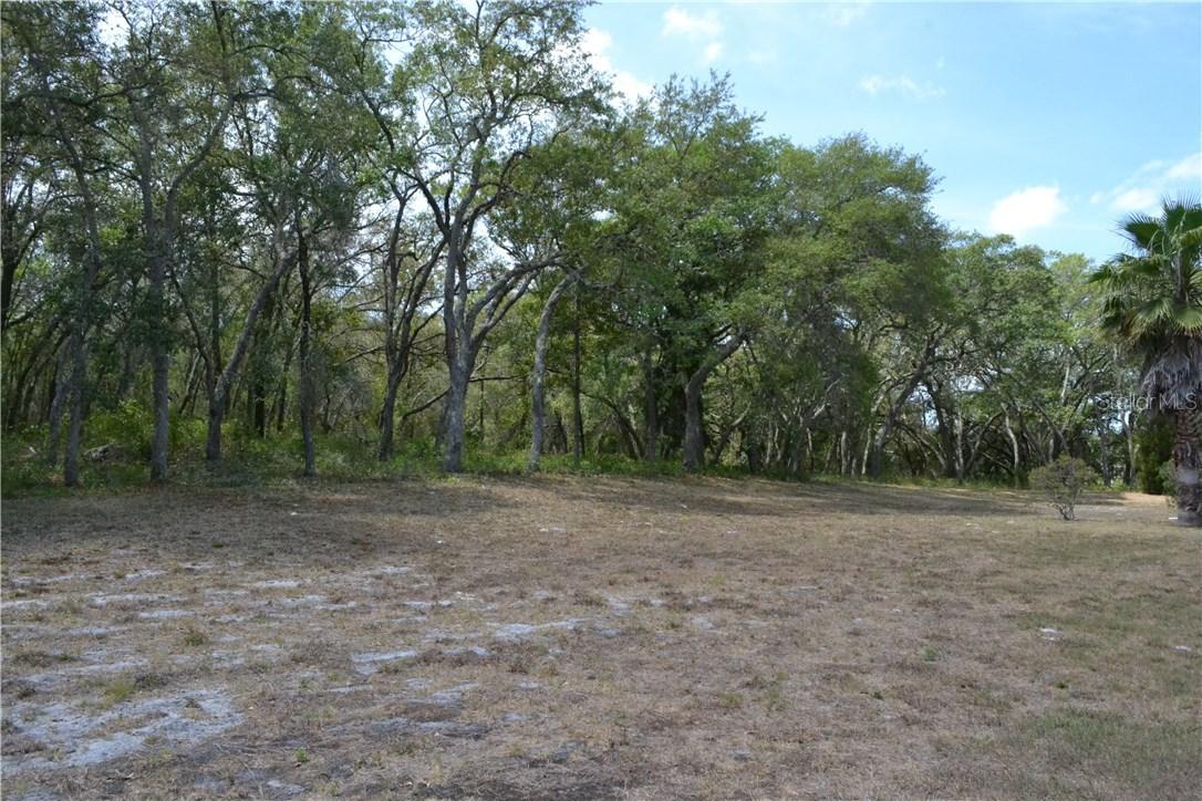 12947 Brutus Dr., Hudson, FL 34667