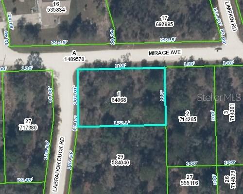 11290 Labrador Duck Rd., Weeki Wachee, FL 34614