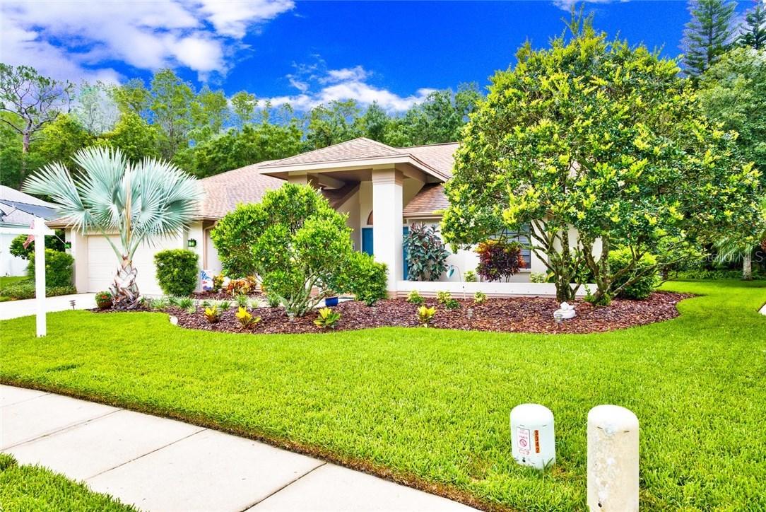 3342 Wedgewood Way, Tarpon Springs, FL 34688