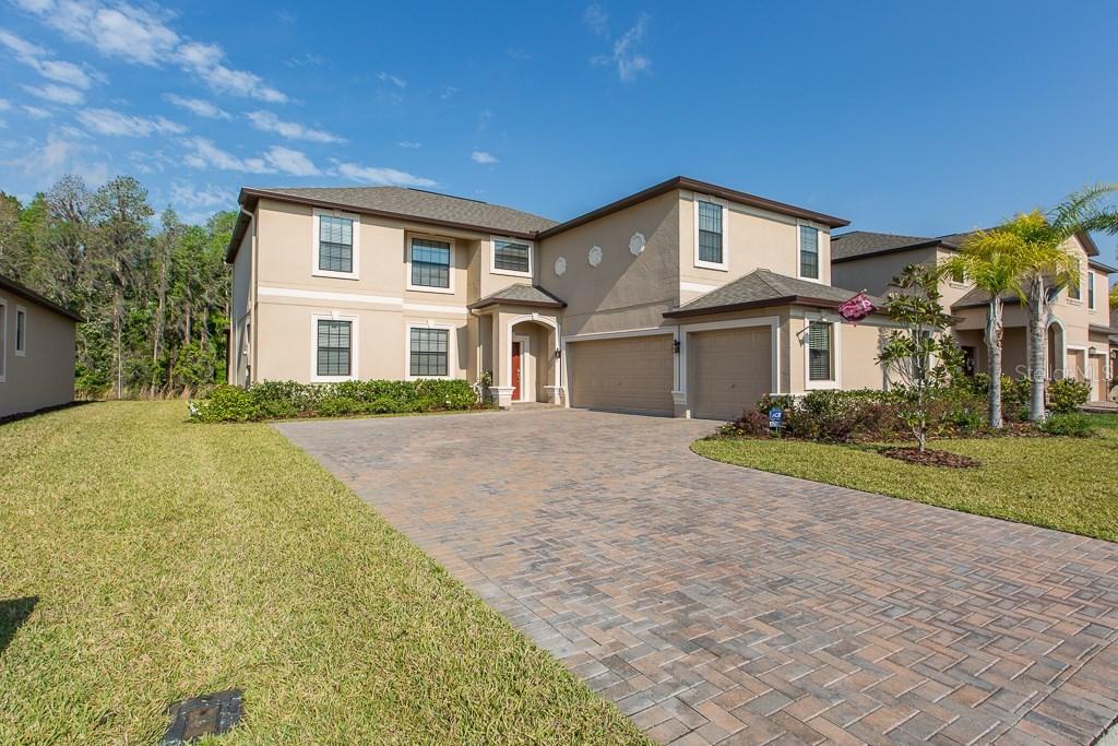 12227 Crestridge Loop, Trinity, FL 34655