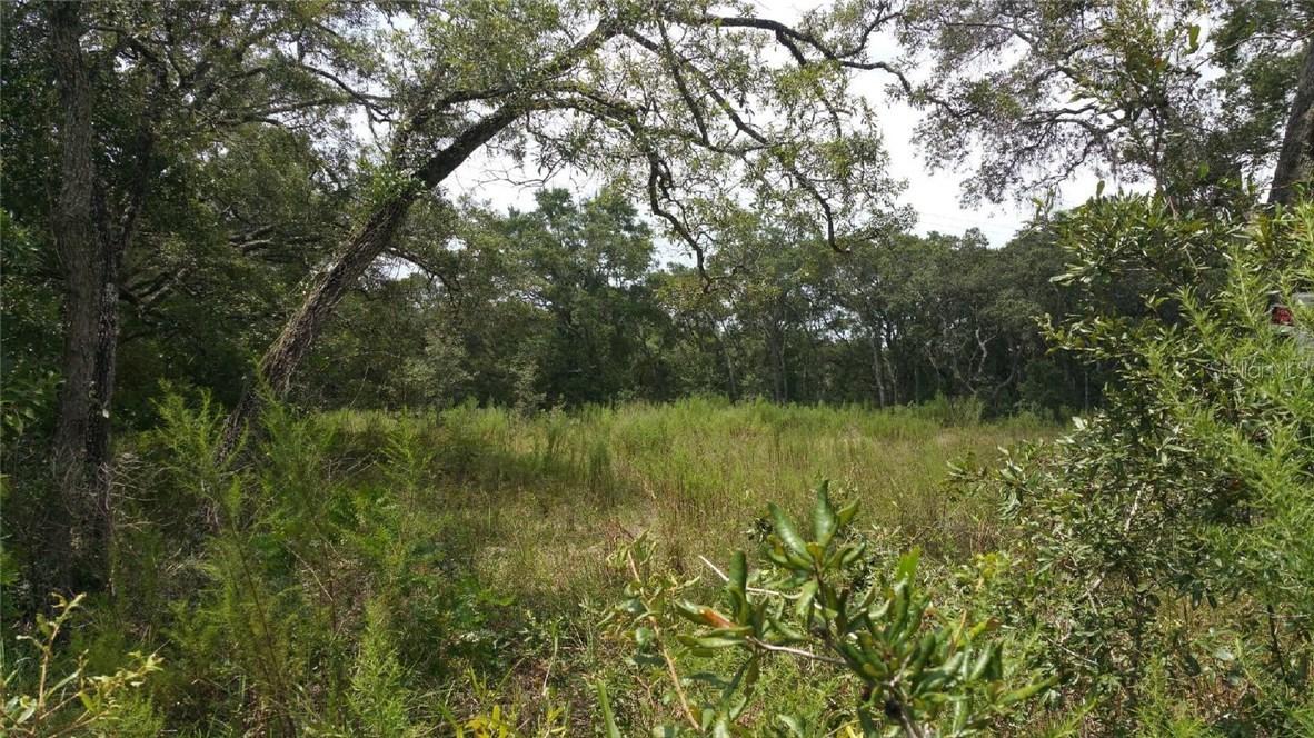 00 Akins Dr., Spring Hill, FL 34610