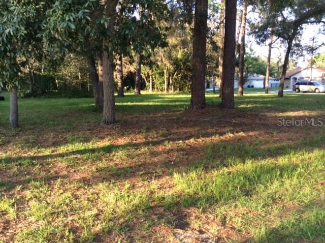 Danforth Rd., Spring Hill, FL 34608