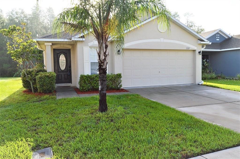 17019 Lixberry Way, Land O Lakes, FL 34638