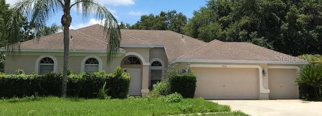 4705 Water Lark Way, Valrico, FL 33596