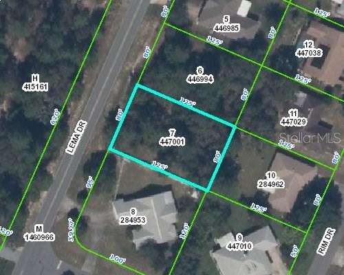 2452 Lema Dr., Spring Hill, FL 34609