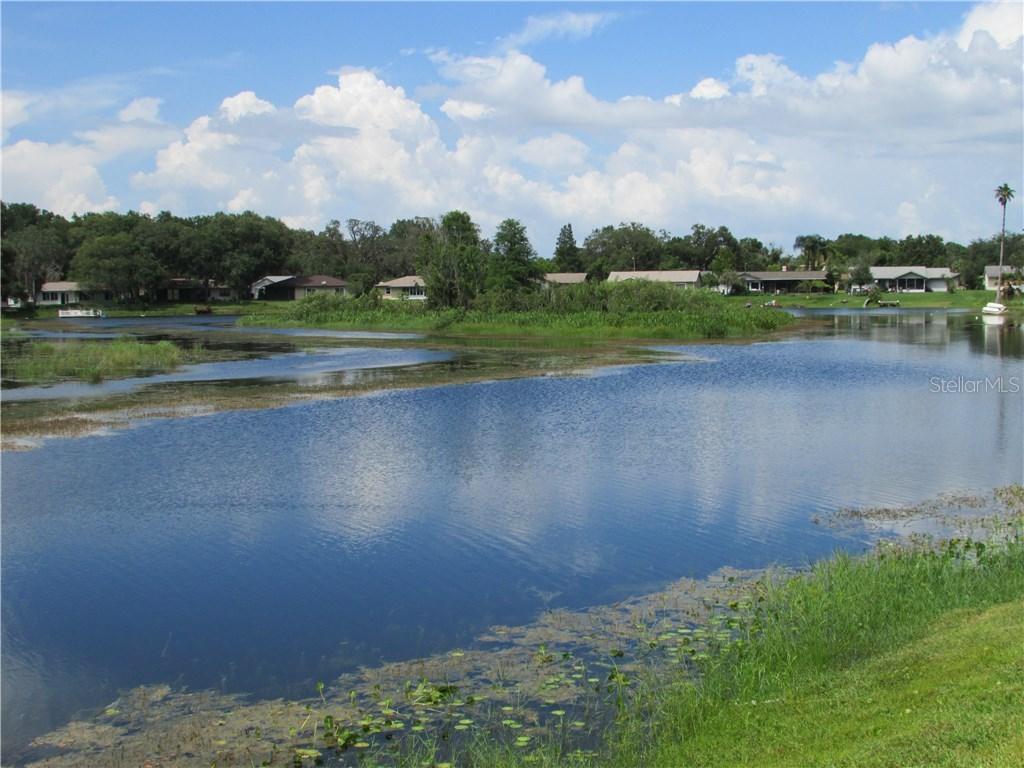 12423 Smokey Dr., Hudson, FL 34669