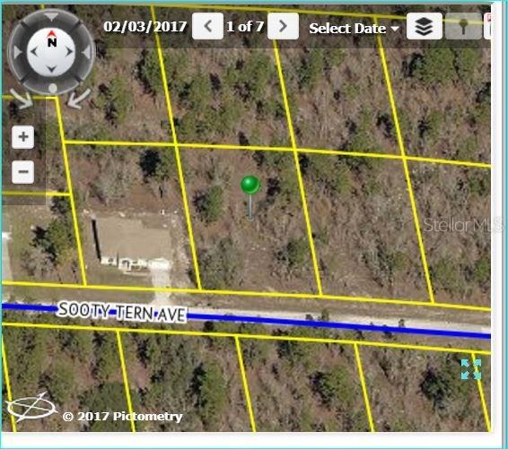 Sooty Tern Ave., Weeki Wachee, FL 34614