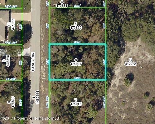 118 Canby Cir., Spring Hill, FL 34606