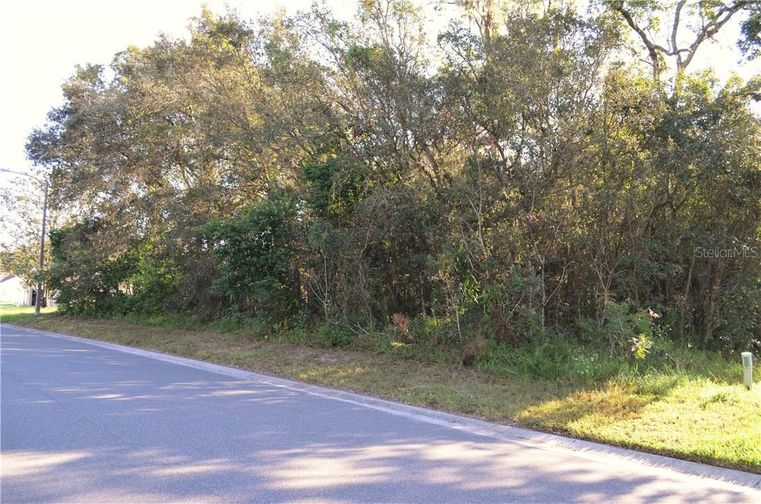 Winding Oaks Blvd., Hudson, FL 34667