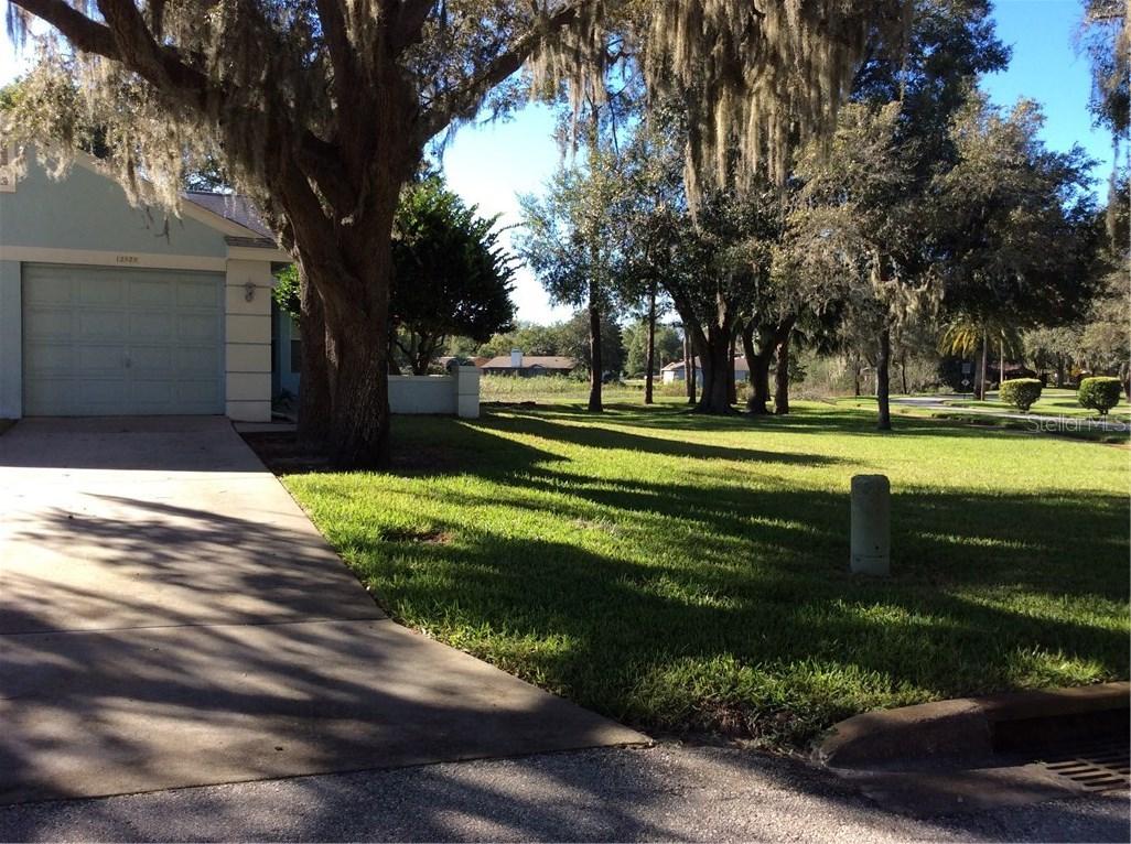 12820 Sand Crane Way, Hudson, FL 34669