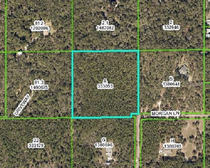 15101 Morgan Ln., Brooksville, FL 34601