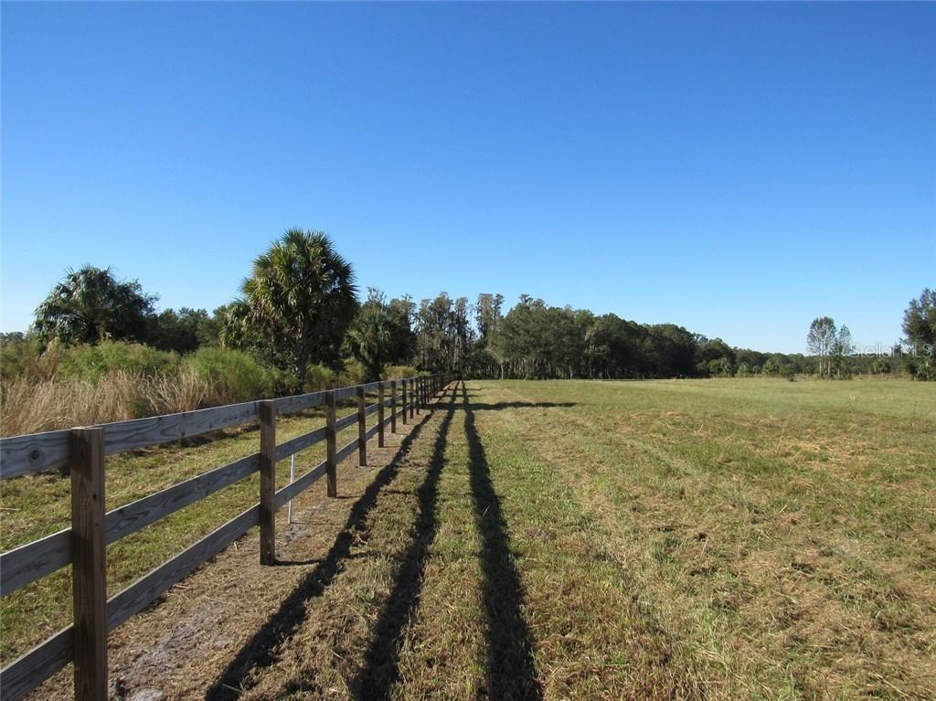 Armenian Ln., Wesley Chapel, FL 33544