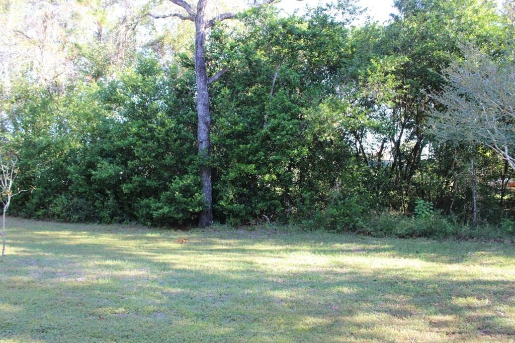 Trumbull Dr., Spring Hill, FL 34609