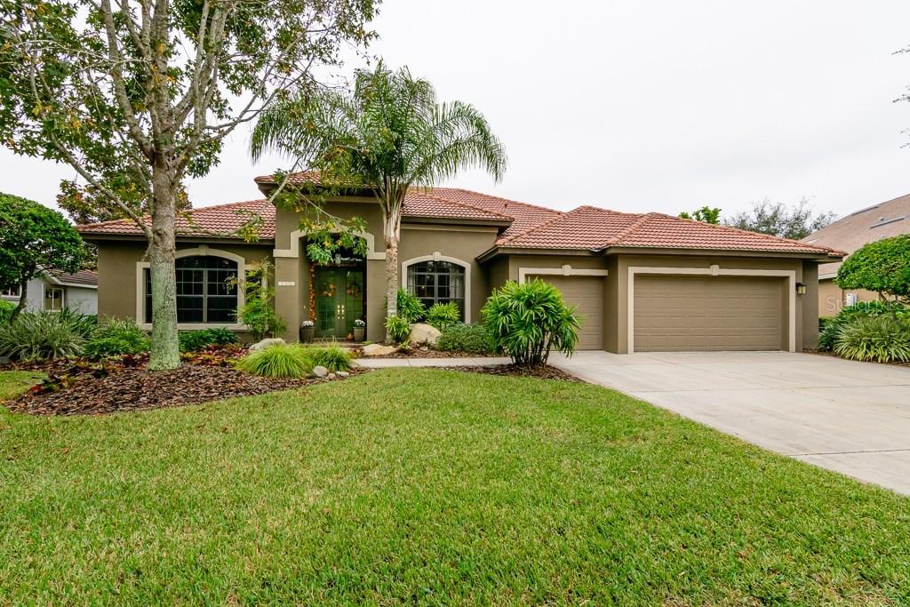 1625 El Pardo Dr., Trinity, FL 34655