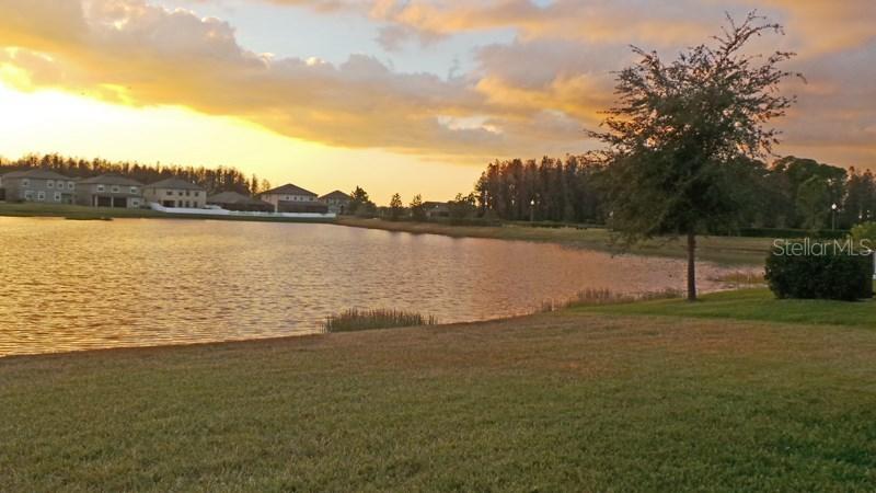 12721 Mountain Springs Pl., New Port Richey, FL 34655