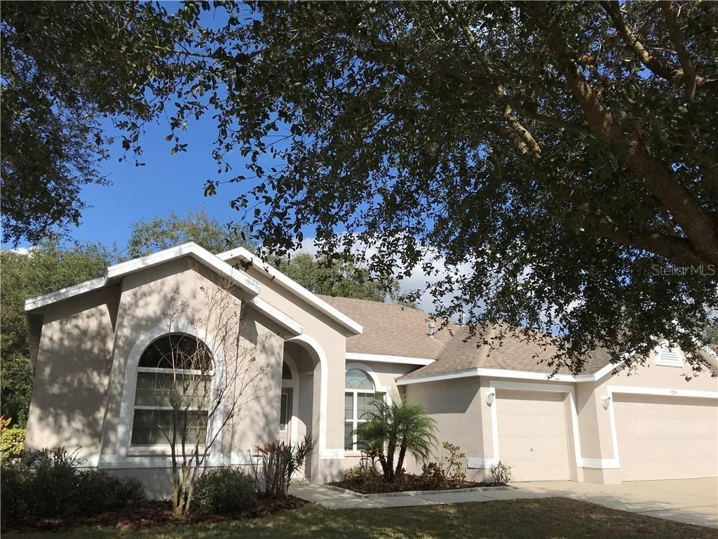 7254 Bucks Ford Dr., Riverview, FL 33578