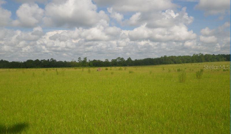 7801 E Saviors Path, Floral City, FL 34436