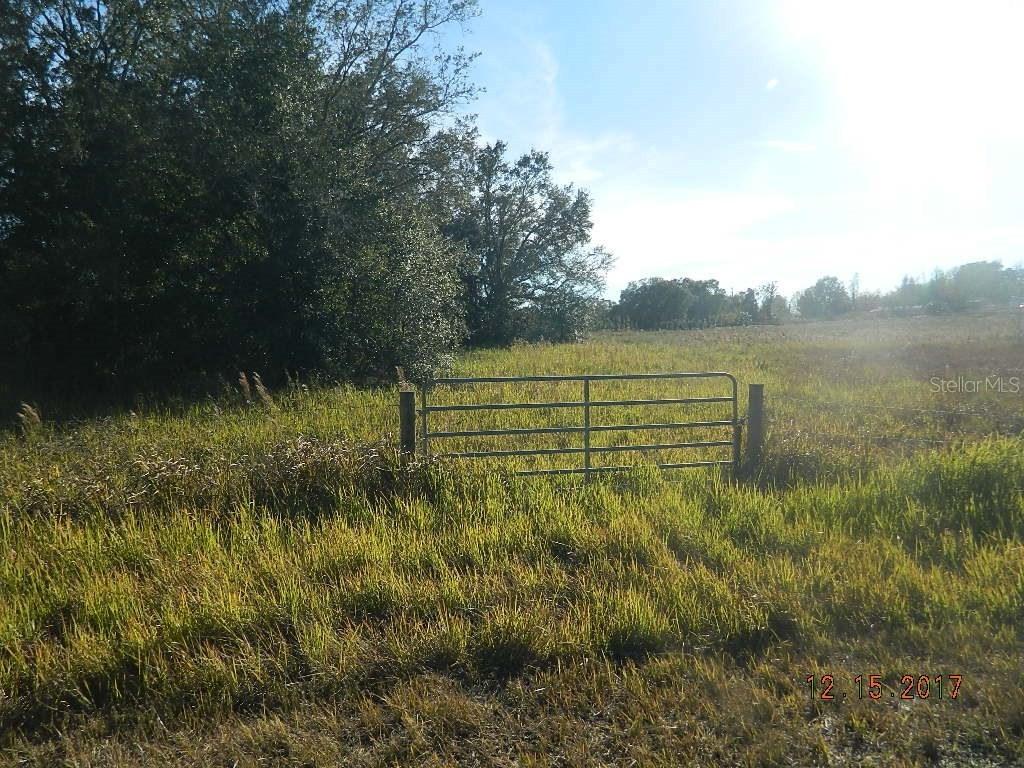 Peach Orchard Rd., Brooksville, FL 34614