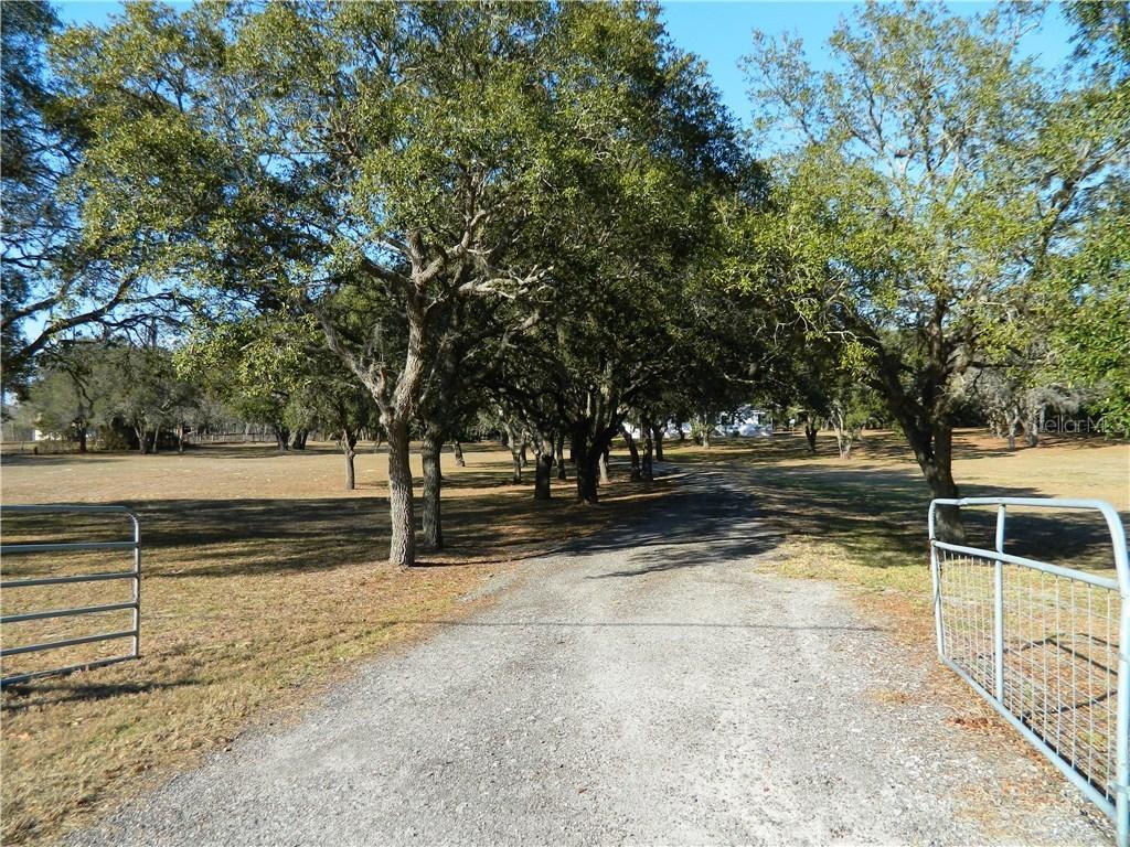 9029 Orchard Way, Spring Hill, FL 34608