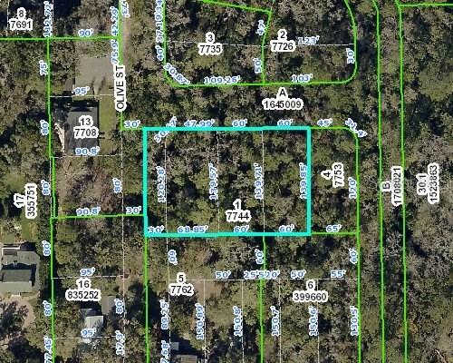 Olive St., Brooksville, FL 34601