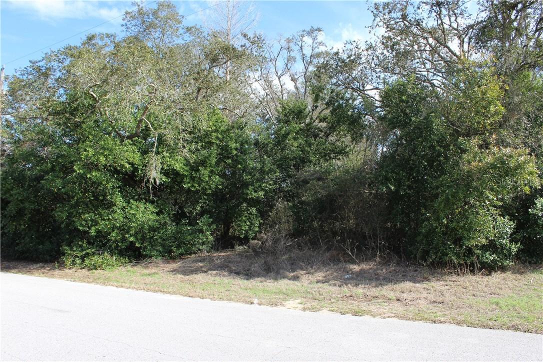 Sheffield Rd., Spring Hill, FL 34608