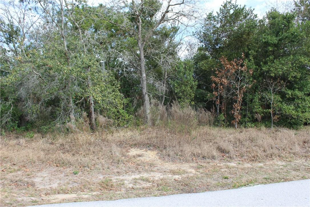 Bentley Ave., Spring Hill, FL 34608