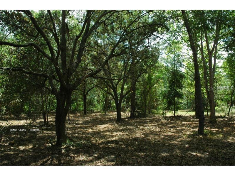 Grandville Ave., Hudson, FL 34667