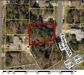 Evangelina Ave. #11, Spring Hill, FL 34608