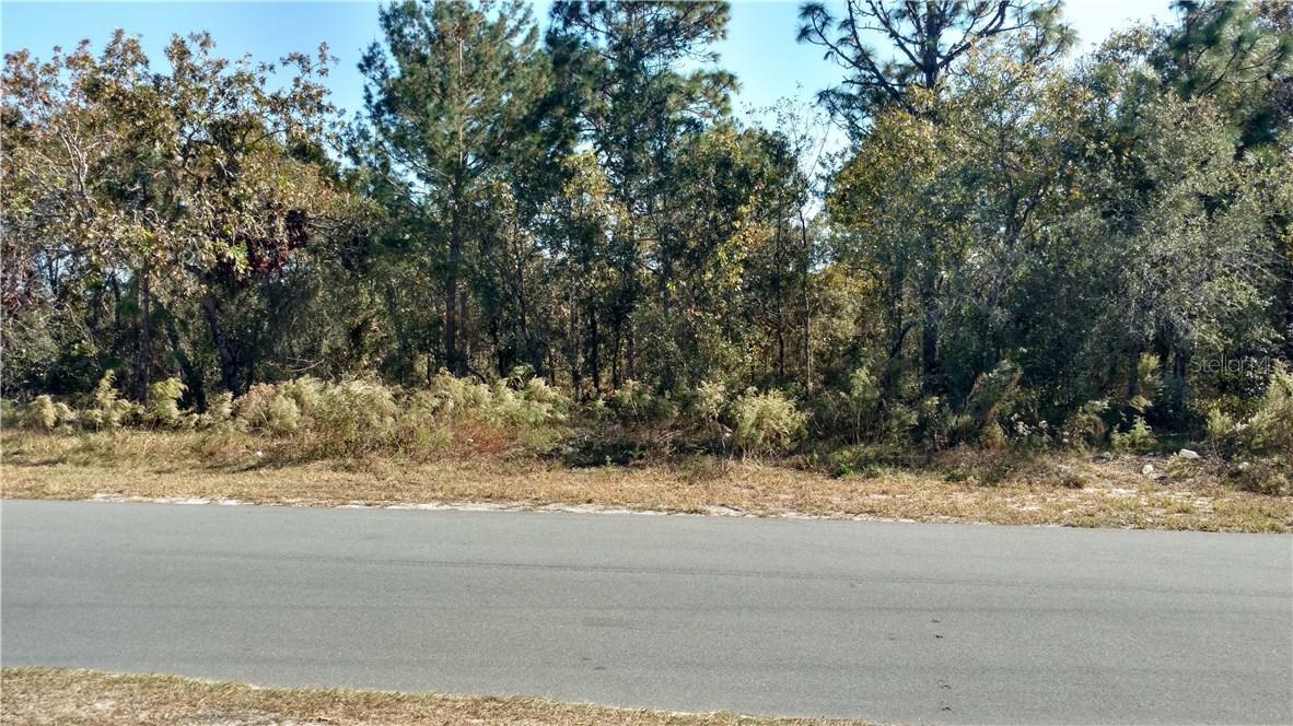 13106 Antelope St., Spring Hill, FL 34609