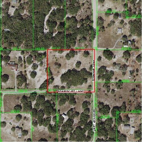 Sea Biscut, Hudson, FL 34669
