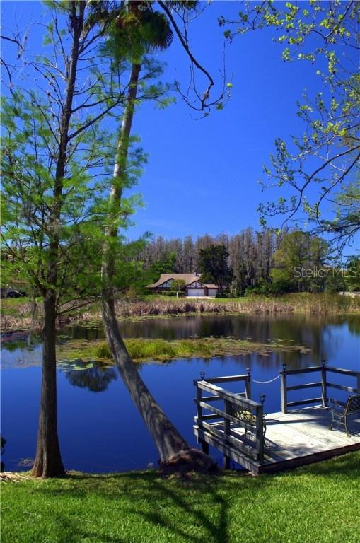 1053 Lake Como Dr., Lutz, FL 33558